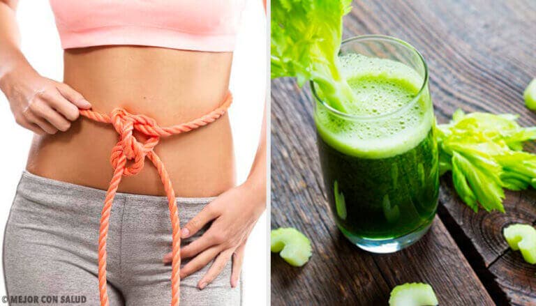 Cómo preparar el apio para combatir el estreñimiento