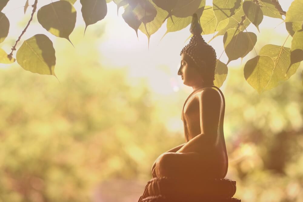 La filosofía del mindfulness y el budismo