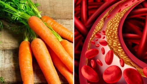 Procedimientos naturales y sencillos para controlar el colesterol