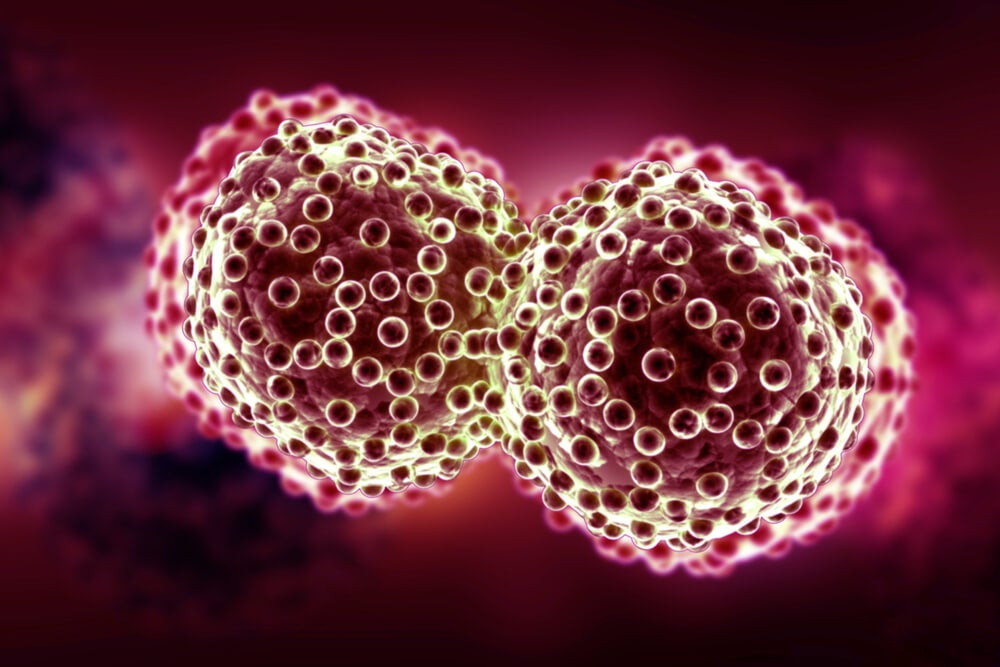 Receptores hormonales