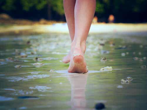 ¿Sabías que puedes caminar sobre el agua?