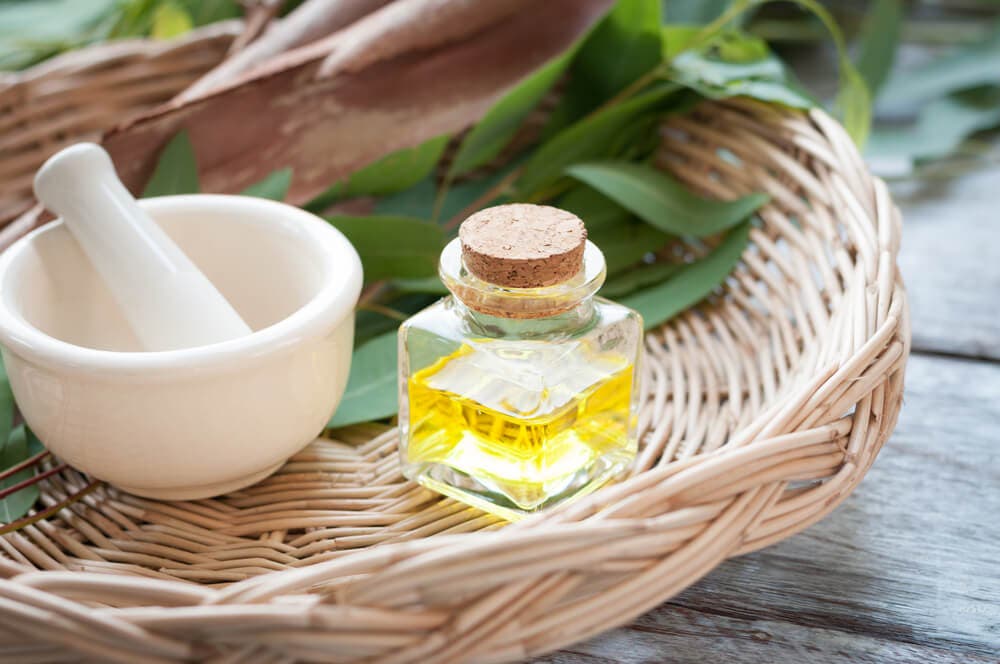 Aceite esencial eucalipto