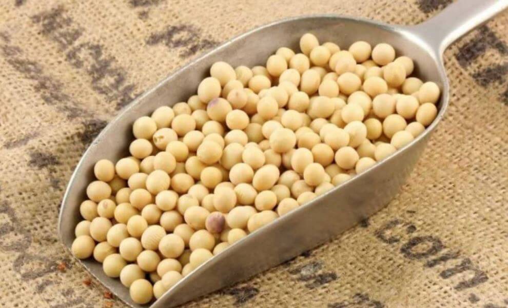 Bolas de soya.