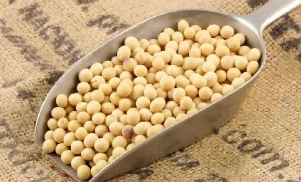 Bolas de soya.