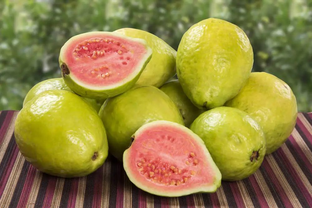Guayaba
