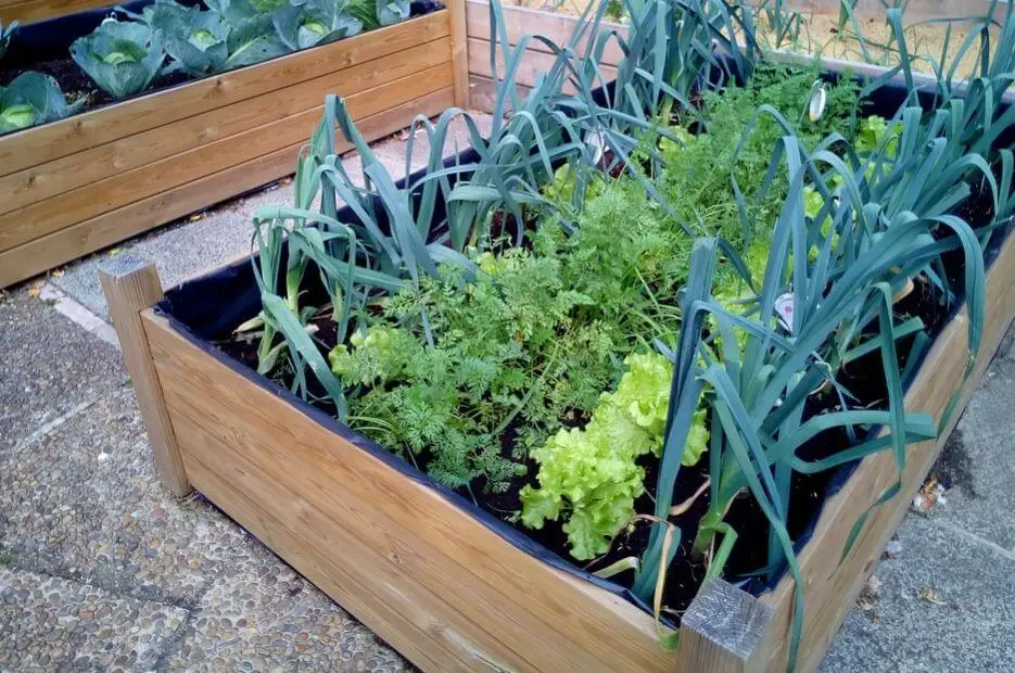 Un huerto en jardineras.
