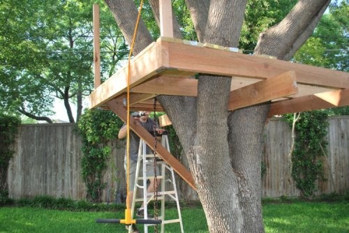 La estructura de la casa árbol.
