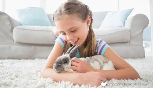 Niña con conejo