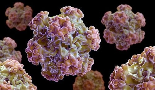 Virus de papiloma humano en mujeres: ¿cómo detectarlo?