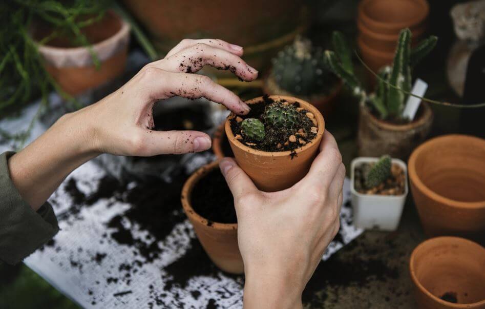 La falta de espacio no es excusa para no plantar huertos caseros.