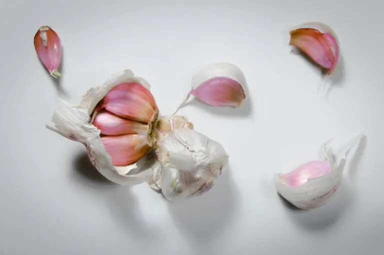 Las propiedades anticoagulantes del ajo