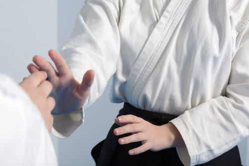 Aikido, artes marciales