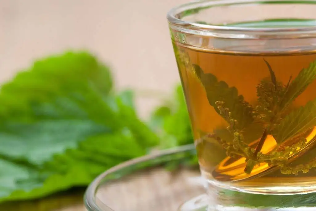 Infusión de ortiga para problemas en la próstata