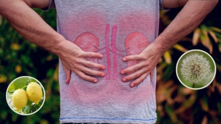15 remedios caseros para expulsar las piedras de los riñones