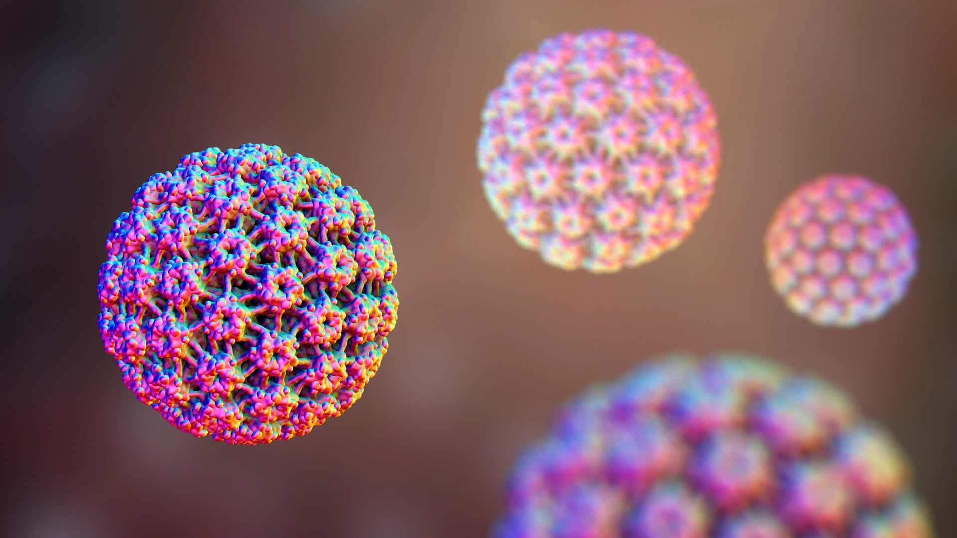 Le virus HPV cause le cancer de la mâchoire.