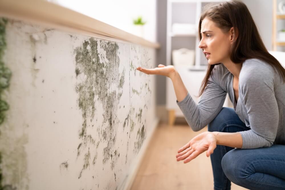 8 formas de quitar la humedad en casa - Mejor con Salud