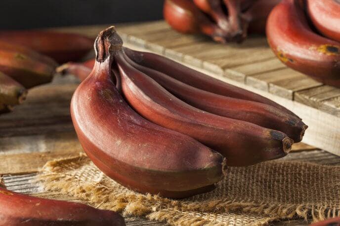 Postre de plátanos rojos maduros