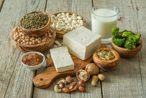 Toda dieta vegana debe contener alimentos variados