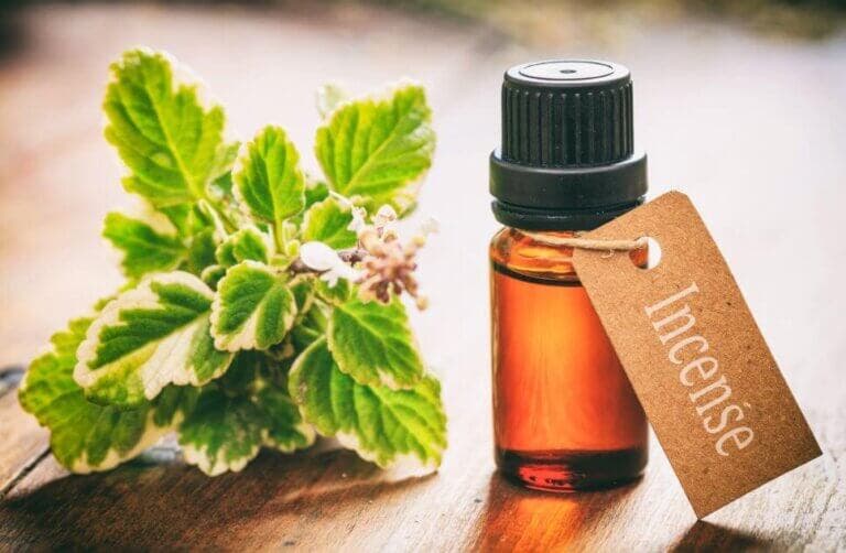 8 usos del aceite esencial de incienso que te gustará saber