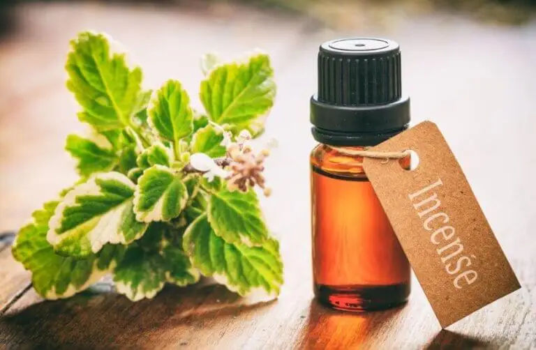 8 usos del aceite esencial de incienso que te gustará saber