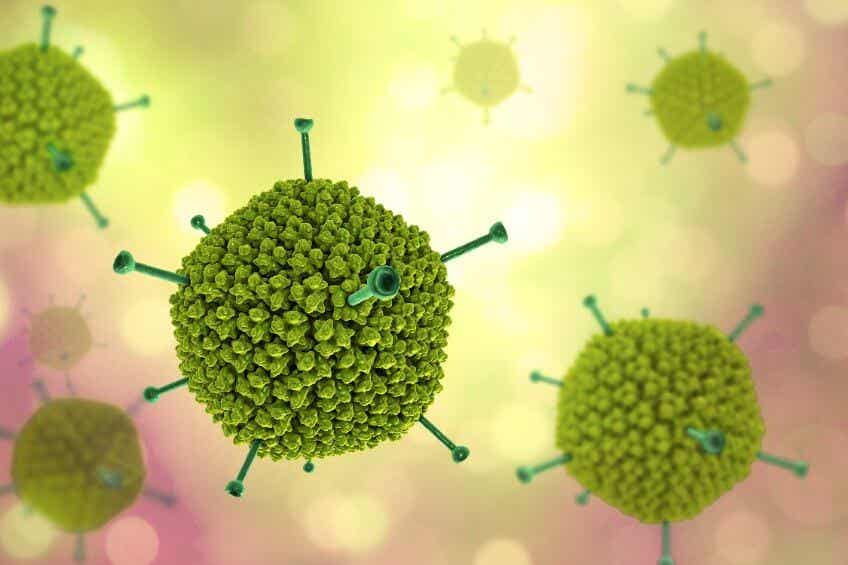 Adenovirus: todo lo que debes saber
