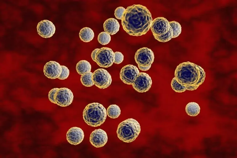 Virus ECHO: todo lo que debes saber