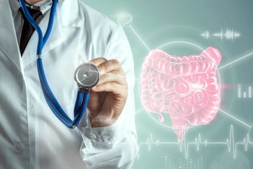 Características del lipoma abdominal