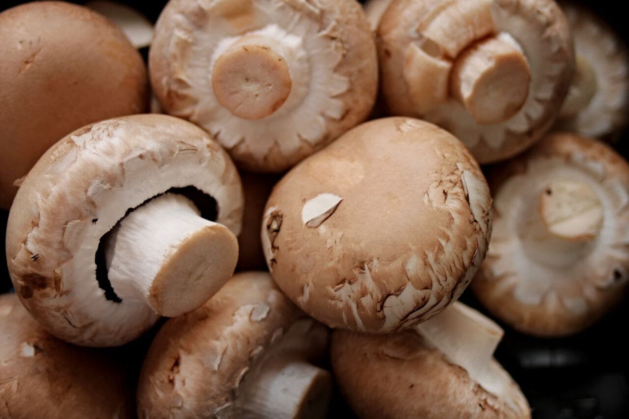 Champignons pour alléger un plat de pâtes.