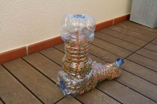 Los comederos para mascotas pueden realizarse a partir de botellas de plástico.
