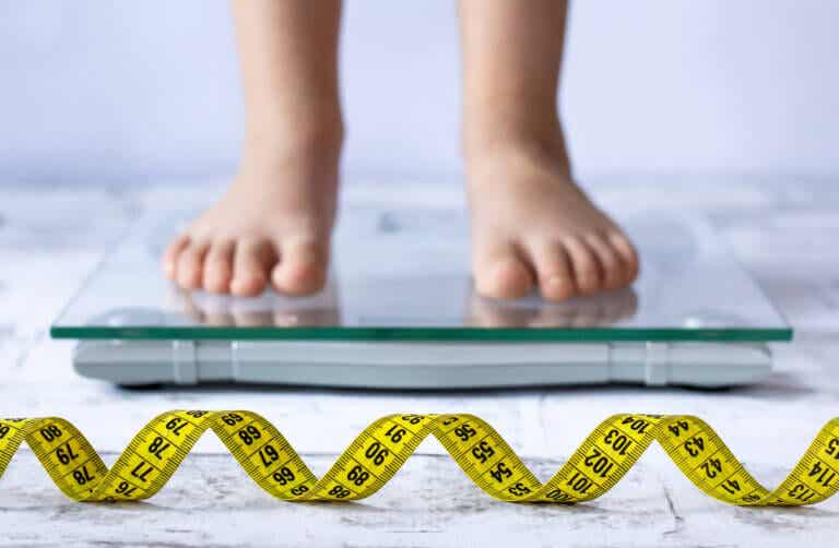 Dietas para niños con sobrepeso u obesidad