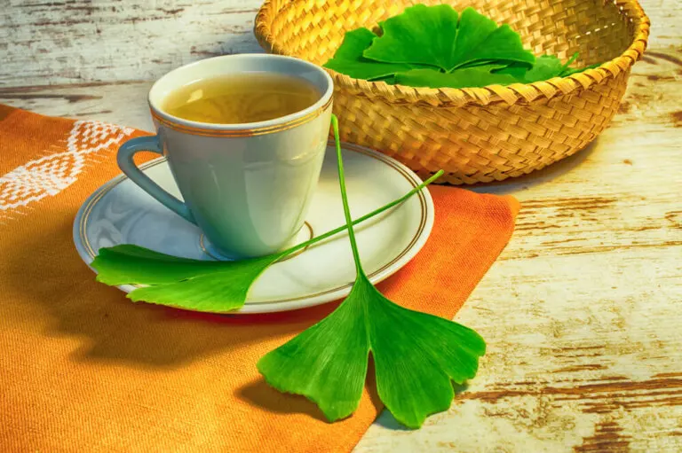 Cómo preparar 4 remedios con ginkgo biloba