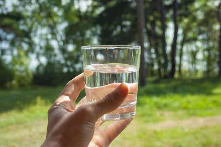 ¿Cuál es la importancia y los beneficios de mantenerse hidratado?