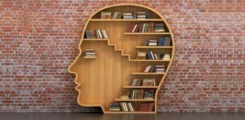 Libros y cerebro