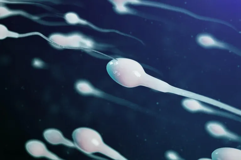 Todo lo que debes saber sobre el semen