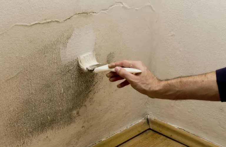 10 formas de quitar la humedad en casa