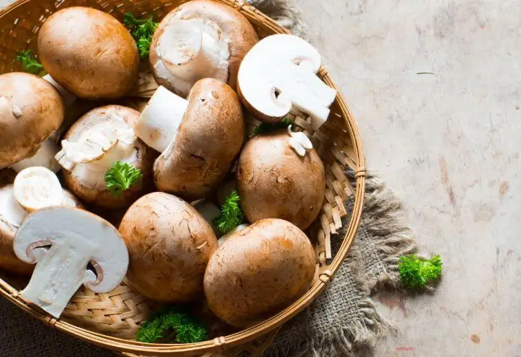 Receta con champiñones.