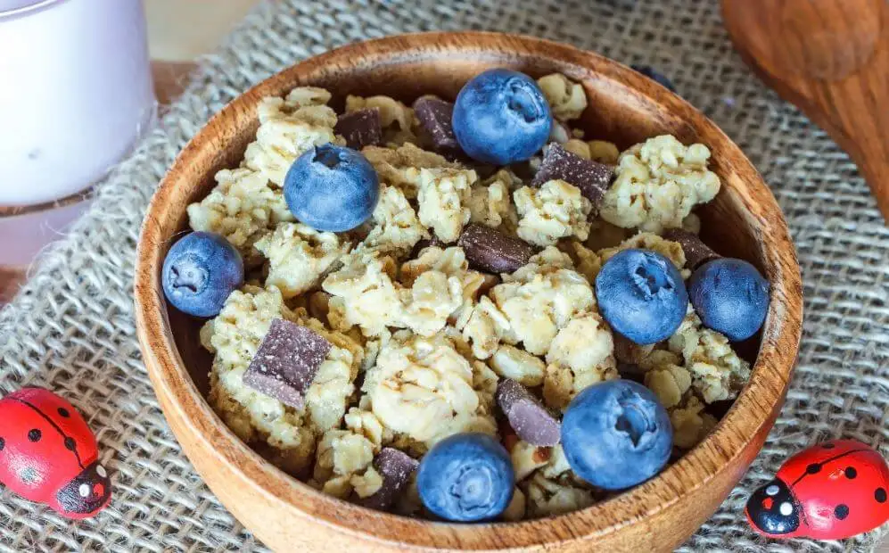 Receta de granola con arandanos.