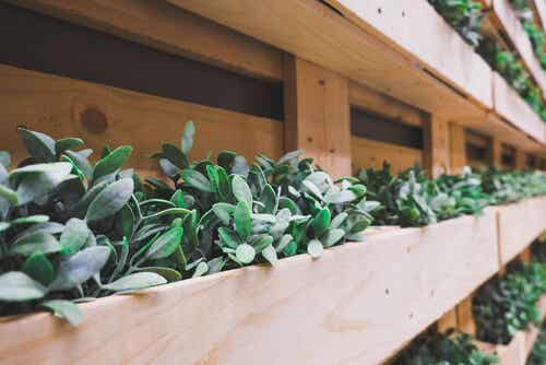 6 elementos que puedes reciclar para decorar tu jardín