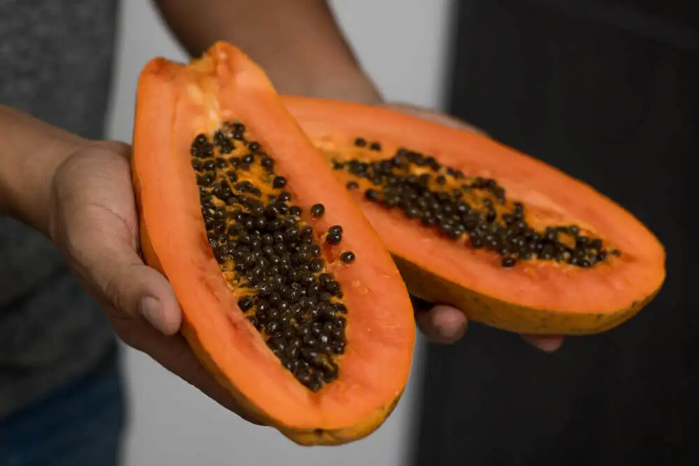 Semilla de papaya salud renal