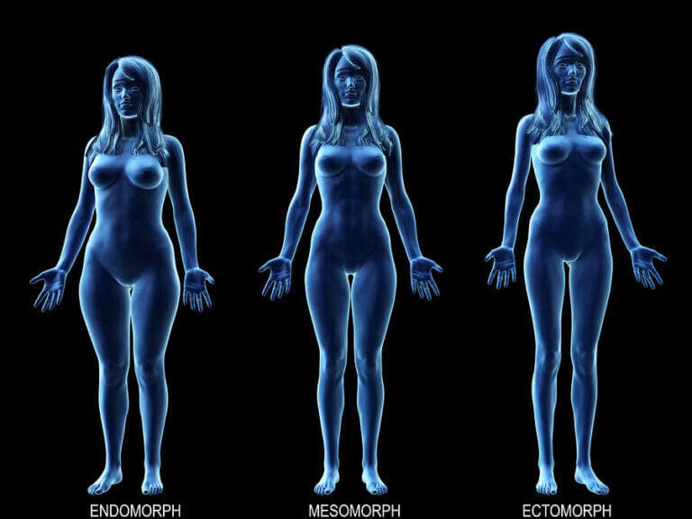 Conoce la dieta ideal para tu tipo de cuerpo