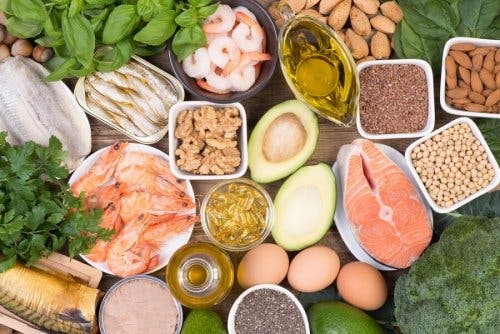 Alimentos ricos en ácidos grasos de tipo Omega
