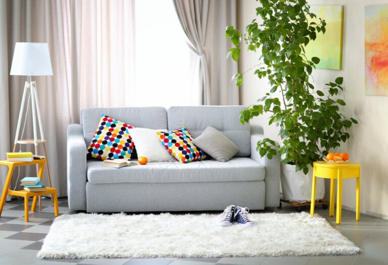 ¿Cómo elegir la alfombra perfecta para tu hogar?