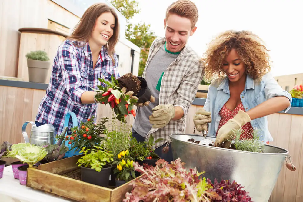 Los beneficios de la jardinería se extienden a la salud mental.