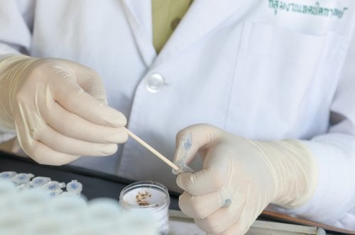 Heces alquitranosas: ¿qué significan?