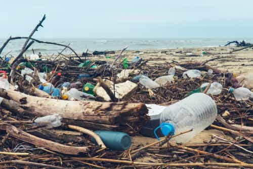 Plástico contaminante en playa