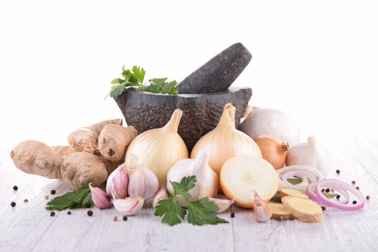 Recetas para hacer salsa con cebolla y ajo