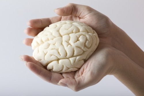 5 mejores ejercicios para mejorar nuestra memoria