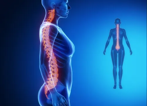 El espacio epidural está fuera de la duramadre y es donde se inyecta la anestesia epidural.