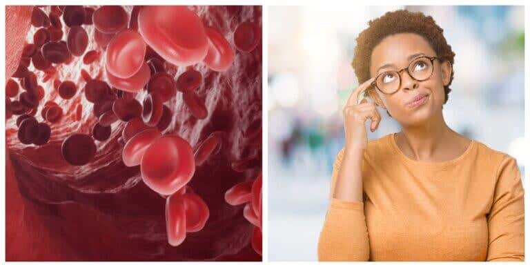 ¿Cuál es la diferencia entre sangre venosa y sangre arterial?