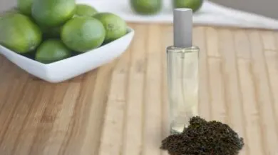 ¿Cómo hacer un ambientador en spray para eliminar olores rápidamente?